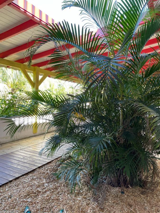Jardin Sur Mer Terre-De-Haut Exterior photo