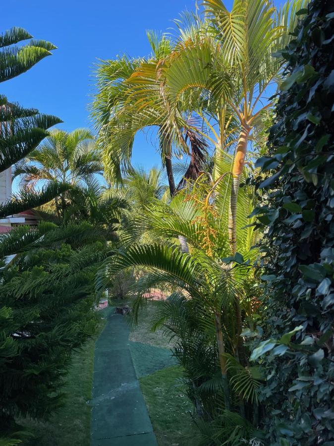 Jardin Sur Mer Terre-De-Haut Exterior photo