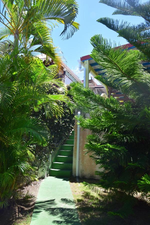 Jardin Sur Mer Terre-De-Haut Exterior photo
