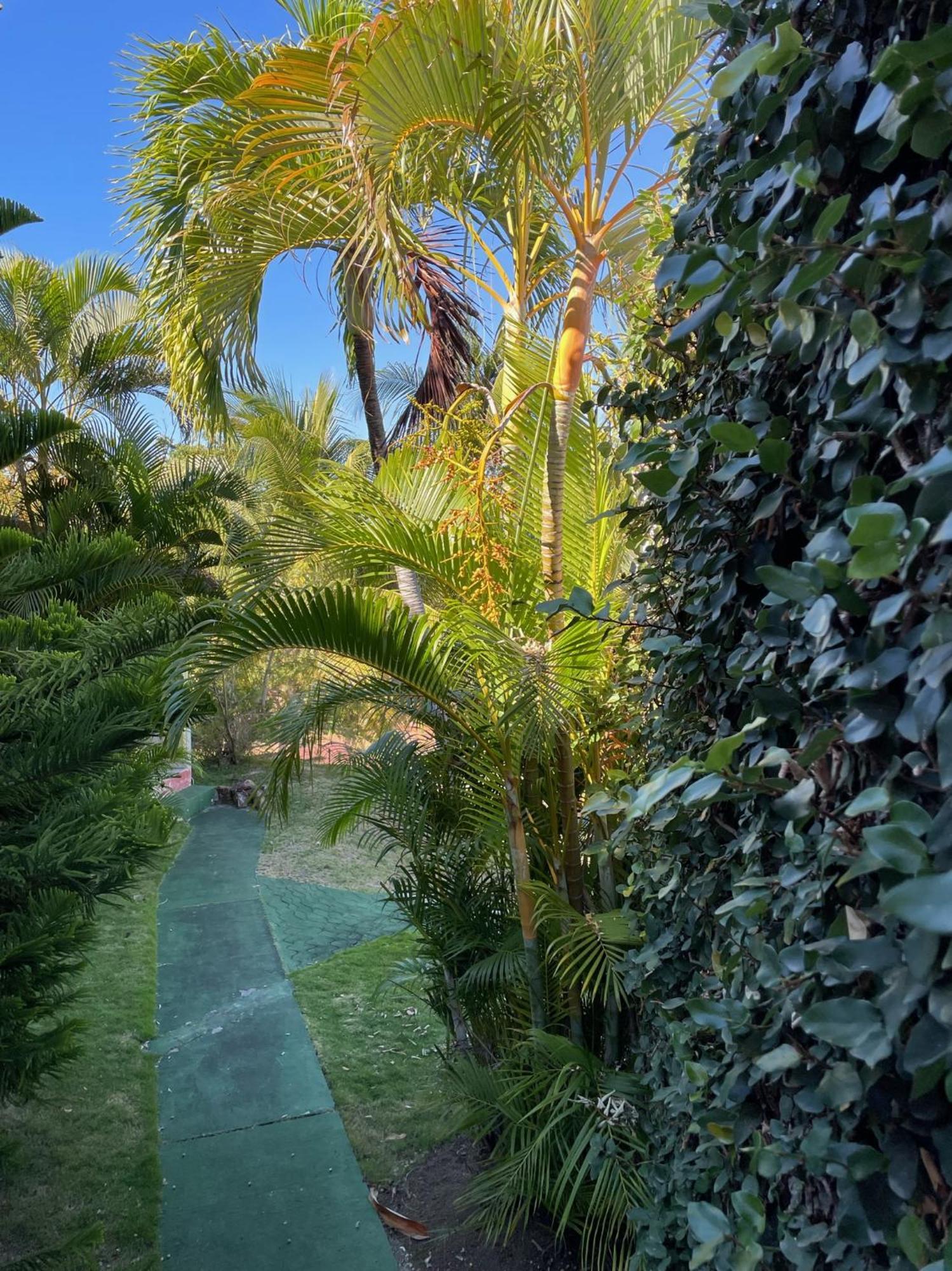 Jardin Sur Mer Terre-De-Haut Exterior photo
